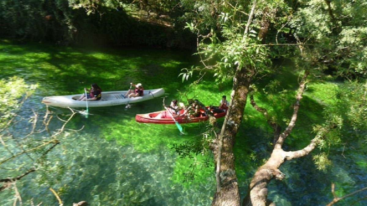 Une descente en kayak sur la Sorgue : une expérience incontournable en Provence Une descente en kayak sur la Sorgue : une expérience incontournable en Provence